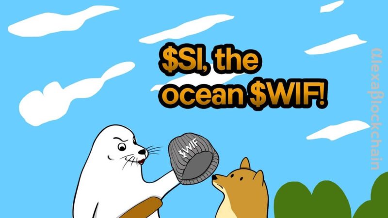 $si,-the-sealwifhat-token,-breaks-all-time-high:-a-testament-to-the-seal-lover-phenomenon-and-the-first-viral-marine-animal-token