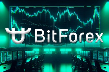 bitforex-alleged-$2.5-billion-volume-flatlines-as-exchange-abruptly-goes-offline