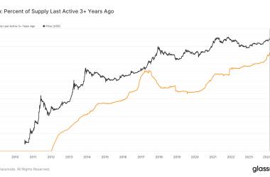 2021-bitcoin-investors-showcase-long-term-holding-resilience