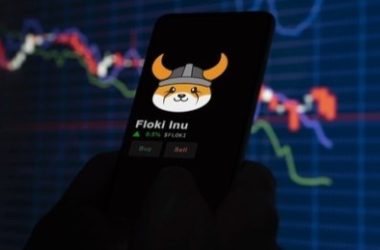 floki-skyrockets-32%-higher-following-dwf-labs’-$10-million-acquisition-plan