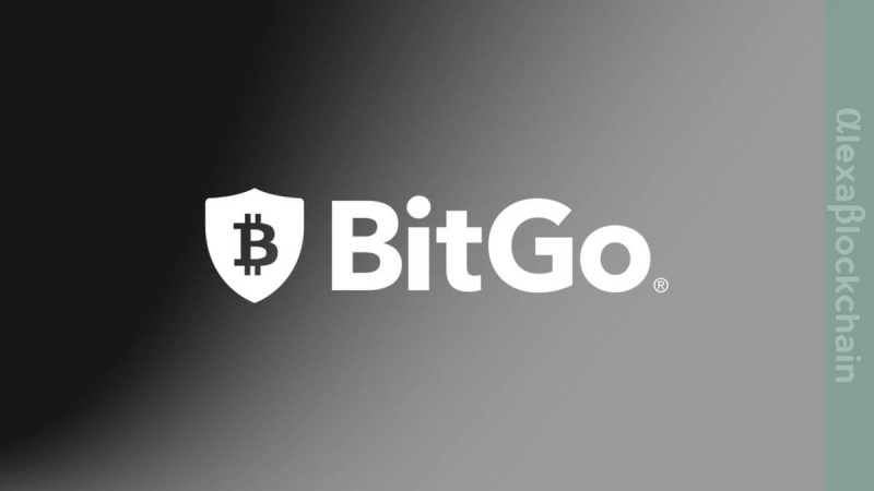 bitgo-joins-hedera-council-to-foster-enterprise-web3-adoption