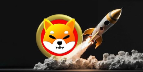 here-are-the-factors-driving-the-shiba-inu-recovery-above-$0.00001