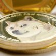 who-let-the-doge-out?-dog-themed-coins-soar-by-12%,-wif-and-floki-lead-the-way