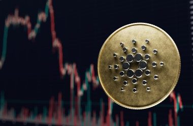 cardano-(ada)-among-only-coins-seeing-loss-taking:-what-it-means