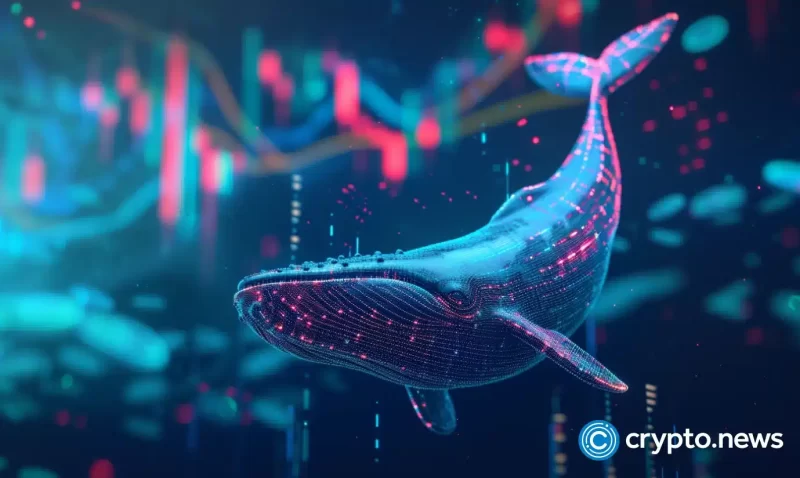 bitcoin-whales-invest-$700b-as-btc-price-heads-to-$70k