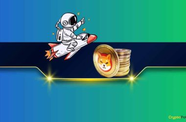the-reasons-behind-the-shiba-inu-(shib)-25%-surge?