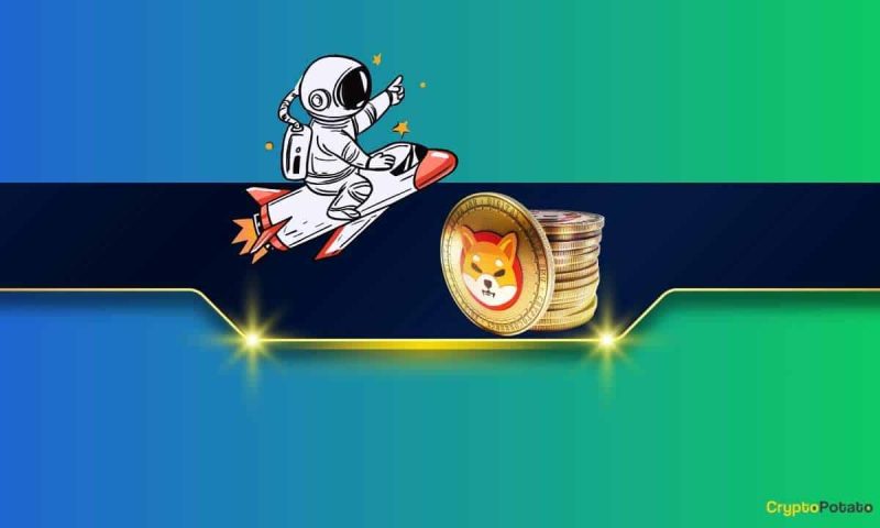 the-reasons-behind-the-shiba-inu-(shib)-25%-surge?