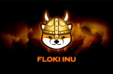floki-dao-outlines-proposal-to-burn-190-billion-tokens