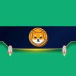 meme-coins-battle:-whales-are-ditching-pepe-and-accumulating-bonk,-shib