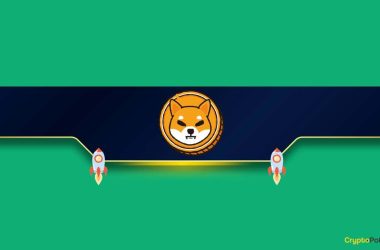 meme-coins-battle:-whales-are-ditching-pepe-and-accumulating-bonk,-shib