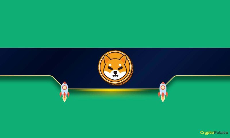 meme-coins-battle:-whales-are-ditching-pepe-and-accumulating-bonk,-shib