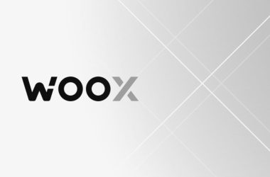 woo-x-appoints-ex-credit-suisse-lead-bryan-chu-as-chief-product-officer