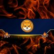 shiba-inu-(shib)-burn-rate-skyrockets-by-30,000%