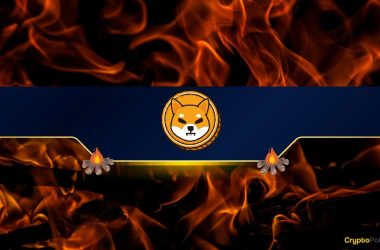 shiba-inu-(shib)-burn-rate-skyrockets-by-30,000%