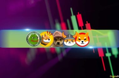 top-meme-coins-wif,-pepe,-shib,-floki,-and-bonk-skyrocket-triple-digits-weekly-(market-watch)