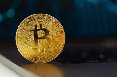 bitcoin-profitability-reaches-97%-for-the-first-time-in-over-2-years