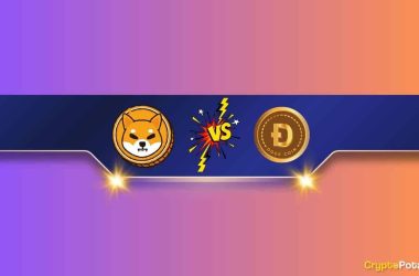 will-shiba-inu-(shib)-become-the-largest-meme-coin-during-this-cycle?