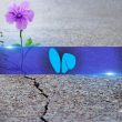 friend.tech-investors-grant-users-full-token-control-amid-resurgence-efforts
