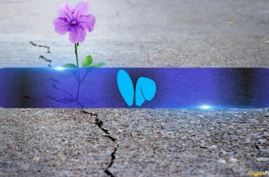 friend.tech-investors-grant-users-full-token-control-amid-resurgence-efforts