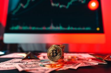 anthony-scaramucci-says-it’s-“still-very-early”-for-btc:-is-it-for-bitcoin-dogs?