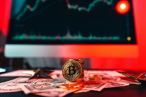 anthony-scaramucci-says-it’s-“still-very-early”-for-btc:-is-it-for-bitcoin-dogs?