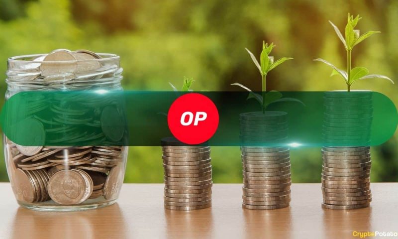 all-optimism-holders-in-profit-as-op-breaks-all-time-high:-itb