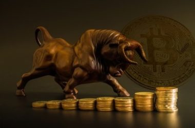 deribit-exchange-expects-bitcoin-to-rise-20%-in-the-next-30-days,-targeting-$80,000