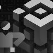 how-bsc-explorers-simplify-transaction-verification-with-txid-check?