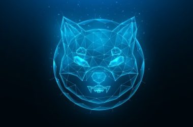 crypto-analyst-optimistic-about-a-shiba-inu-short-term-surge-to-$0.000066