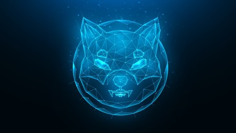 crypto-analyst-optimistic-about-a-shiba-inu-short-term-surge-to-$0.000066