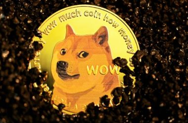 dogecoin-accumulation:-doge-millionaires-have-shot-up-by-76%