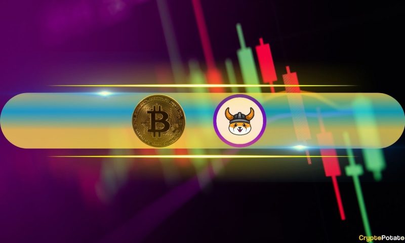 bitcoin-stopped-at-$70k,-floki-skyrockets-111%-weekly-and-nears-top-50-(weekend-watch)