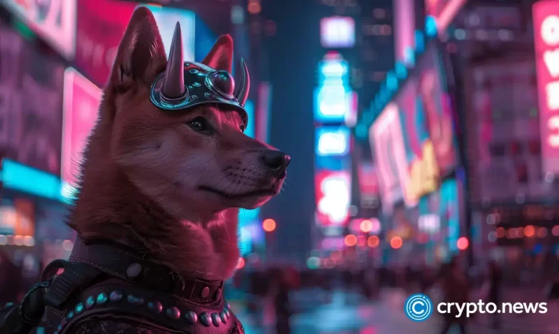 floki-plans-ad-campaign-to-illuminate-new-york’s-times-square