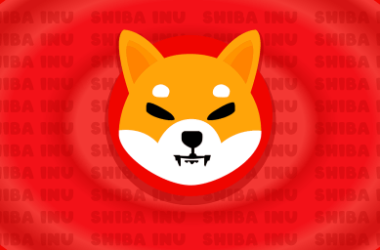 shiba-inu-bone-token-garners-over-20,000-picks-on-binance-futures-next-program