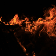 shiba-inu-mania:-price-surges-60%-as-burn-rate-heats-up-over-22,000%