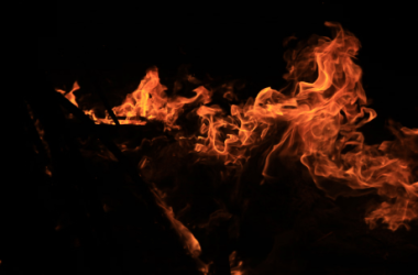 shiba-inu-mania:-price-surges-60%-as-burn-rate-heats-up-over-22,000%