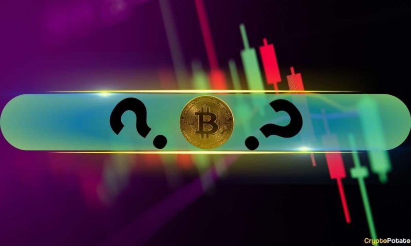 this-week’s-best-performing-altcoins-revealed-as-bitcoin-(btc)-eyes-$70k-(weekend-watch)