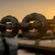 crypto-whales-bet-big-on-link-–-is-chainlink-the-next-bitcoin?