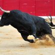 bitcoin-breaks-$72k-as-microstrategy-acquires-an-additional-12,000-btc