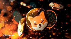 shiba-inu-whales-are-accumulating-shib,-do-they-know-something-you-don’t?