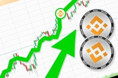 bnb-price-soars-as-binance-smart-chain-implements-“bep-336”-upgrade,-inspired-by-ethereum’s-dencun