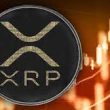crypto-expert-reveals-why-xrp-is-primed-for-growth-in-this-bull-market