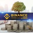 binance-labs-quietly-transitions-to-independent-entity-from-binance