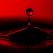 crypto-carnage:-over-$800-million-wiped-out-in-market-plunge