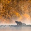 crypto-winter-is-rough.-here-are-five-essential-survival-tips