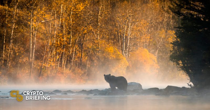 crypto-winter-is-rough.-here-are-five-essential-survival-tips