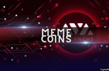 avalanche-foundation-launches-phase-1-of-meme-coin-rush