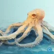 kraken-exec-advocates-for-bitcoin-etf-in-the-uk
