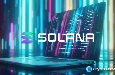 solana-nft-sensation-nets-$10m,-gfox-becomes-presale-outlier