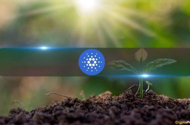 cardano-defies-critics-with-strong-github-activity-among-major-layer-1-blockchains